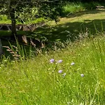 Et Etang, Exclusivement Privee Manzat