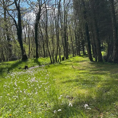 L'etang Calme Casa de Campo Manzat
