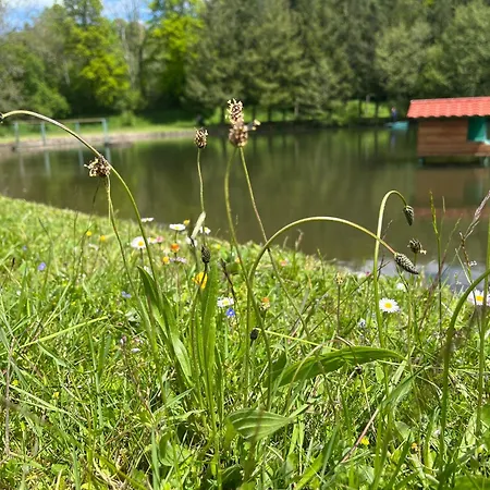 L'etang Calme * Manzat