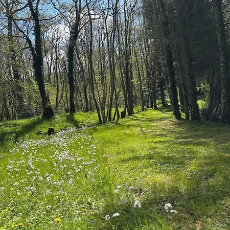 Chalé Et Etang, Exclusivement Privee