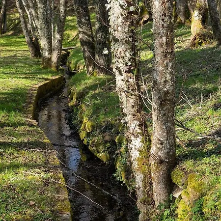 Et Etang, Exclusivement Privee