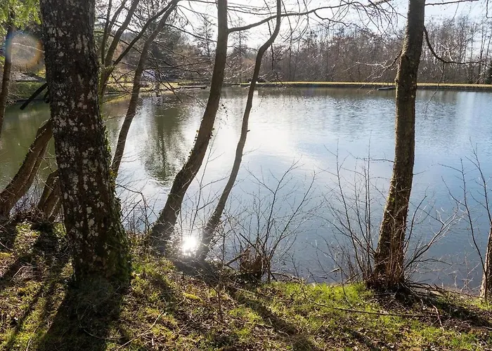 Et Etang, Exclusivement Privee * Manzat