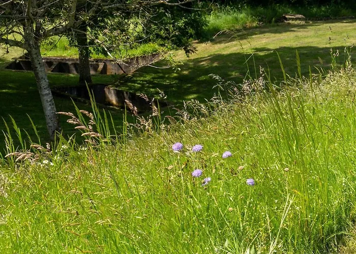 Et Etang, Exclusivement Privee Manzat